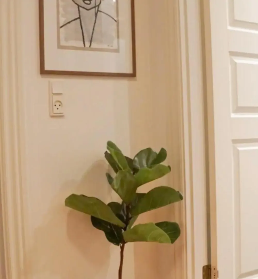 Luxurious Cph Flat A Location Apartment Copenhagen